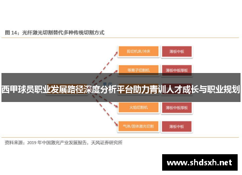 西甲球员职业发展路径深度分析平台助力青训人才成长与职业规划