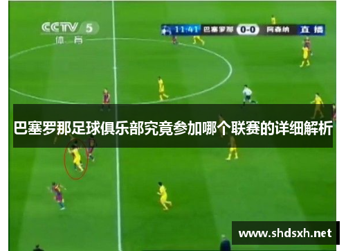 巴塞罗那足球俱乐部究竟参加哪个联赛的详细解析