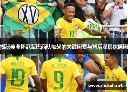 揭秘美洲杯冠军巴西队崛起的关键因素与背后深层次原因