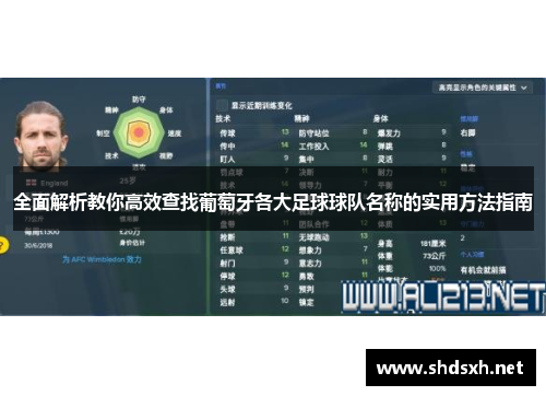 全面解析教你高效查找葡萄牙各大足球球队名称的实用方法指南